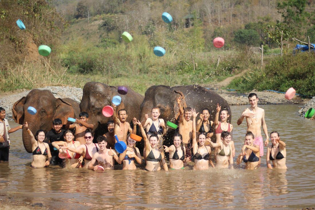 Besucher und Elefanten gemeinsam im Fluss